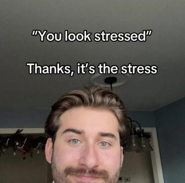 Hilarious Memes (33 pics) Hilarious Memes (33 pics)