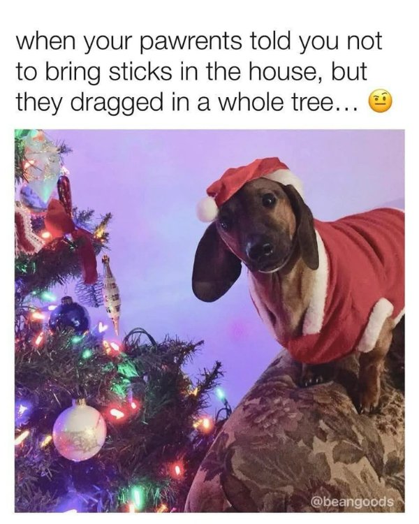 Funny Memes (30 pics)