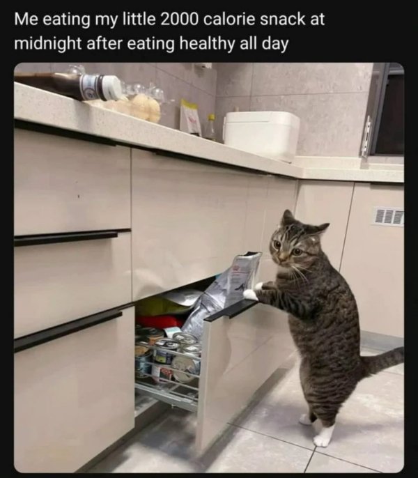 Hilarious Memes (33 pics) Hilarious Memes (33 pics)