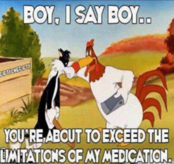 Random Memes (26 pics)