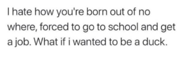 Random Memes (26 pics)