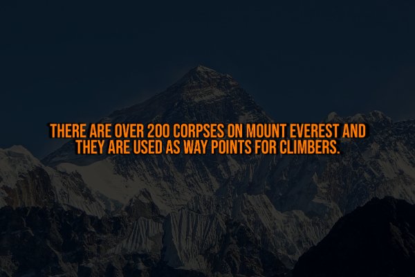 Creepy Facts (14 pics)