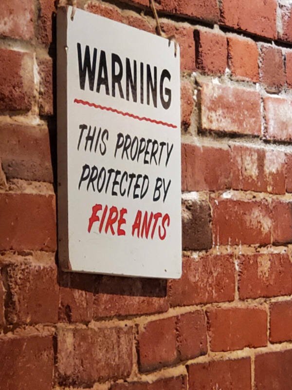 What Is Going On Here? (27 pics)