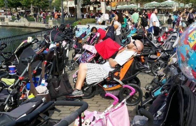 What Is Going On Here? (27 pics)