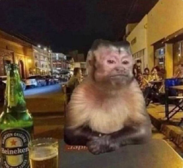 What Is Going On Here? (27 pics)