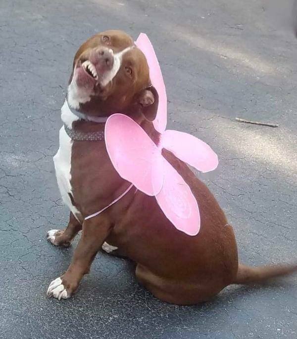 What Is Going On Here? (27 pics)