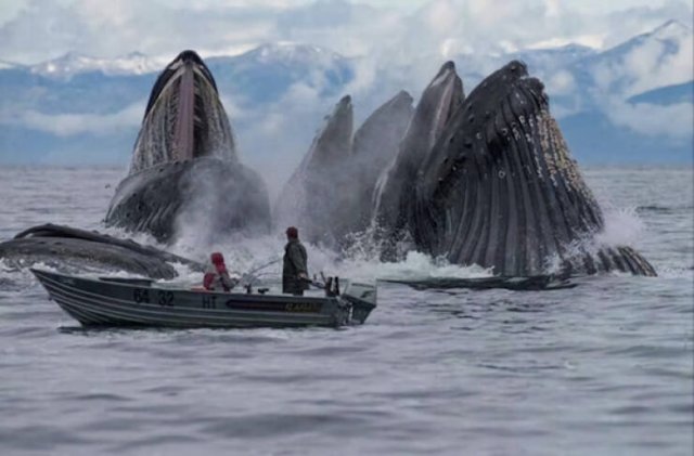 What Is Going On Here? (27 pics)