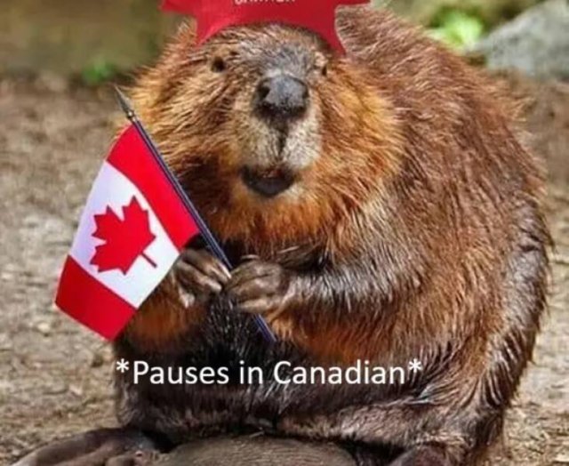 People Share Their Awkward Moments (14 pics)