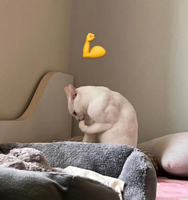 Strange Finds And Situations (47 pics)