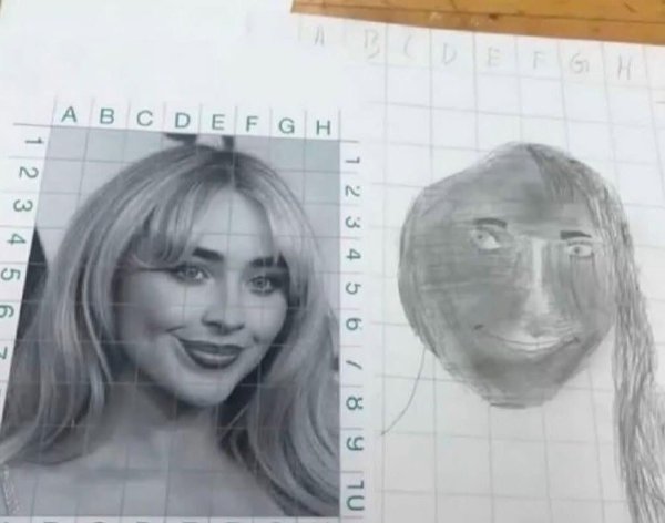 Strange Finds And Situations (47 pics)