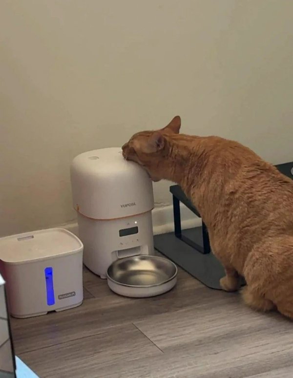 Strange Finds And Situations (47 pics)