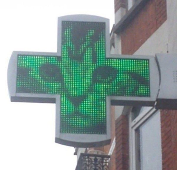 Strange Finds And Situations (47 pics)