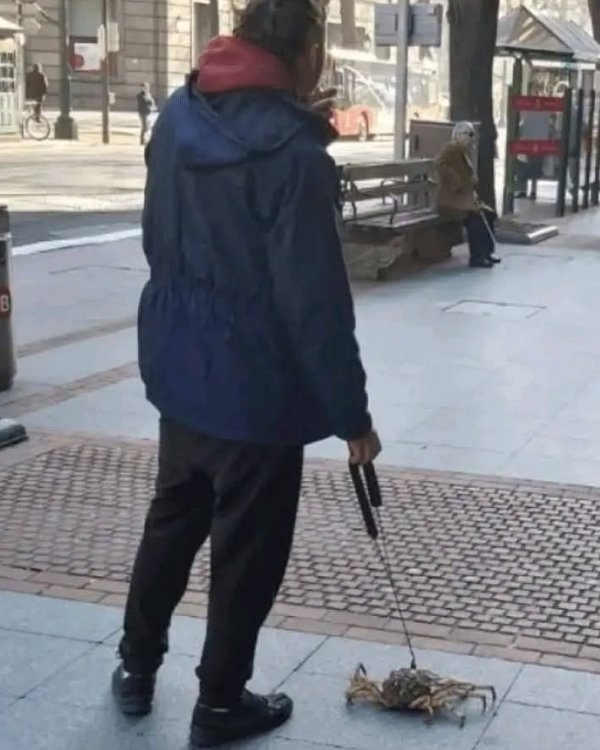 Strange Finds And Situations (47 pics)