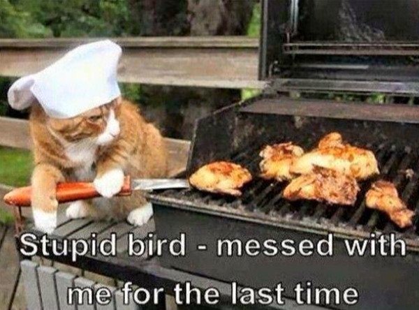 Funny Memes (30 pics)