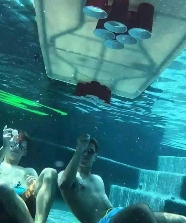 Strange Finds And Situations (47 pics)