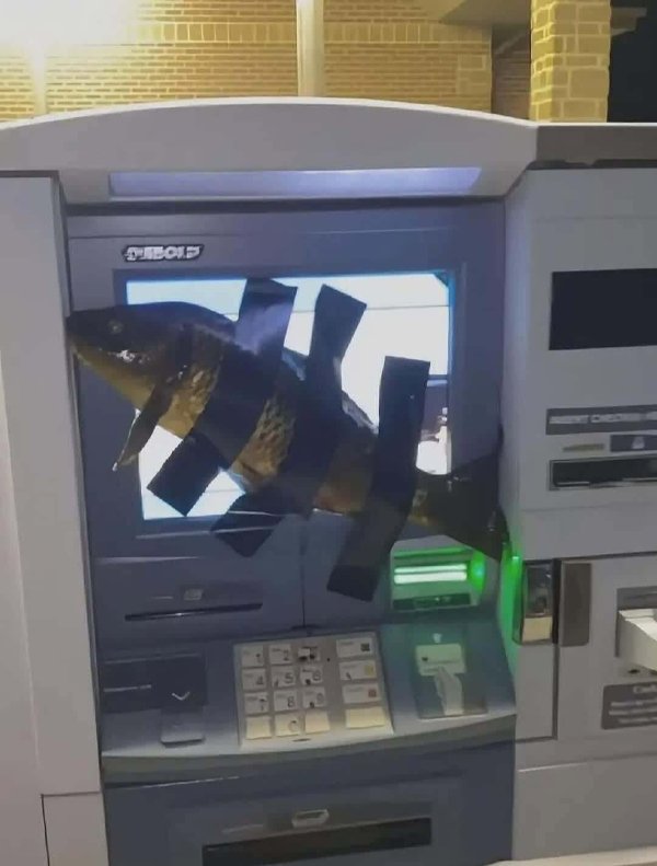 Strange Finds And Situations (47 pics)