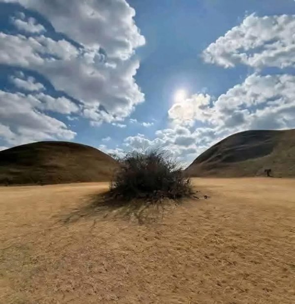 Strange Finds And Situations (47 pics)