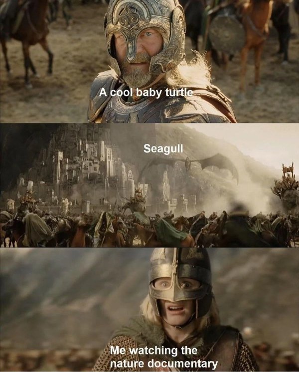 Memes For ''The Lord Of The Rings'' Fans (34 pics)