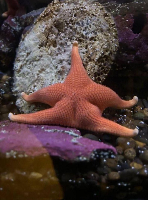 Strange Finds And Situations (47 pics)