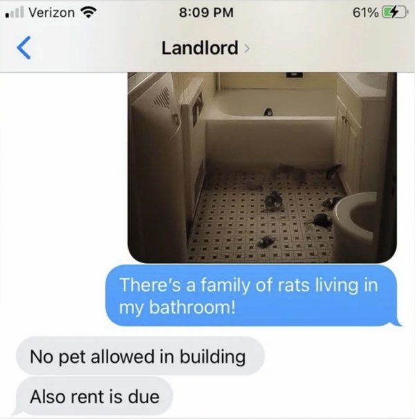 Funny Texts (21 pics)