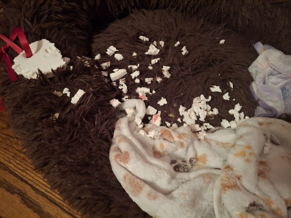 Annoying Situations (23 pics)