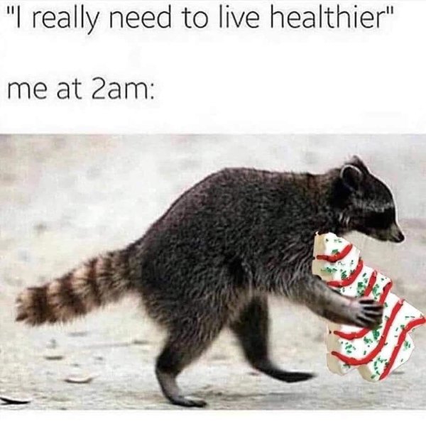 Christmas Memes (32 pics)