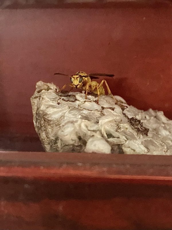 Annoying Situations (23 pics)