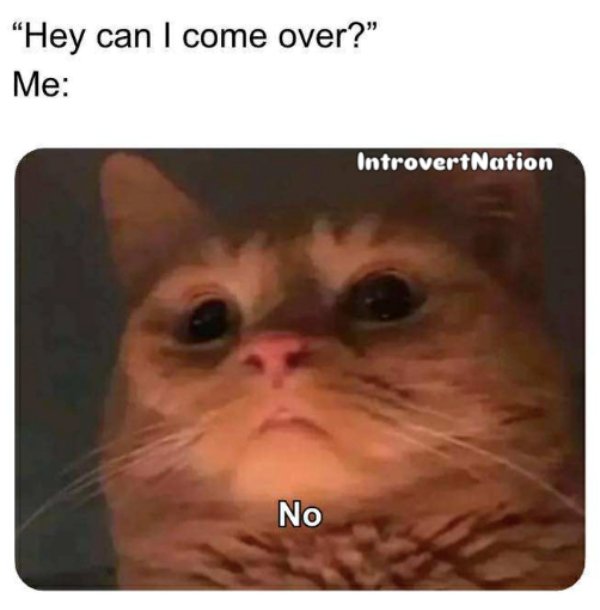 Memes For Introverts (35 pics)