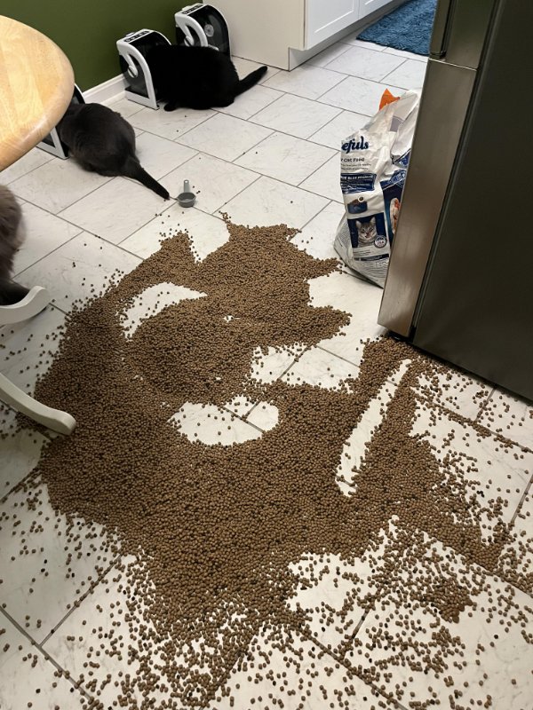 Annoying Situations (23 pics)