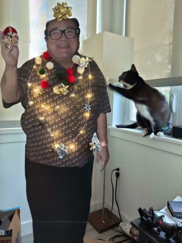 Weird Christmas Decorations (24 pics)