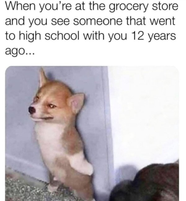 Memes For Introverts (35 pics)