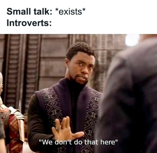 Memes For Introverts (35 pics)