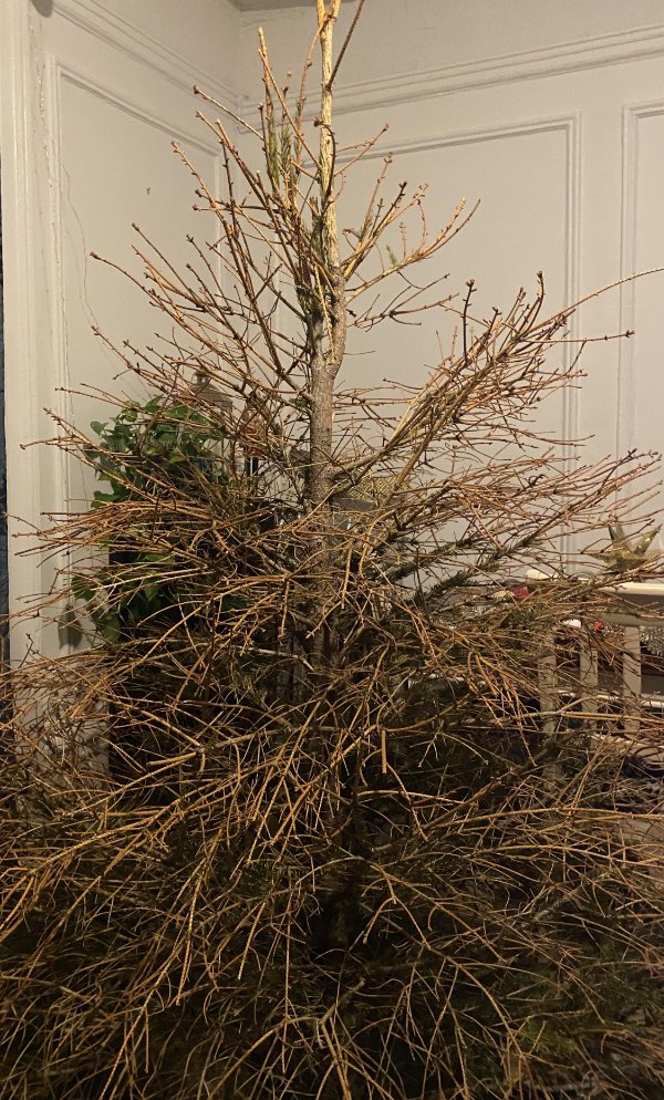 Annoying Situations (23 pics)