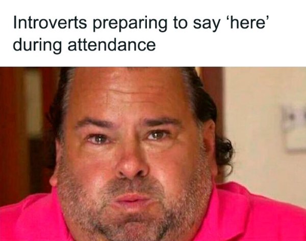 Memes For Introverts (35 pics)