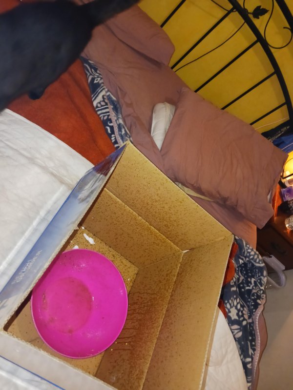 Annoying Situations (23 pics)