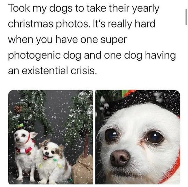 Christmas Memes (32 pics)