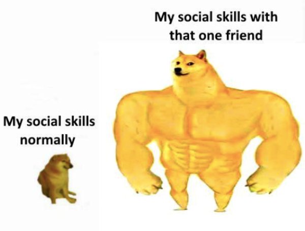 Memes For Introverts (35 pics)