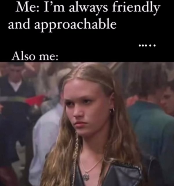 Memes For Introverts (35 pics)