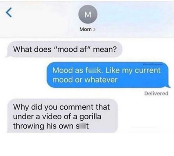 Funny Texts (21 pics)