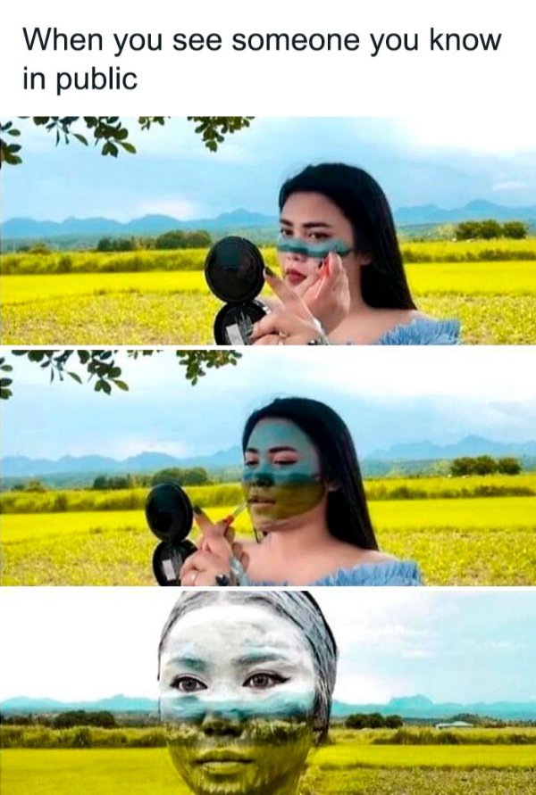 Memes For Introverts (35 pics)