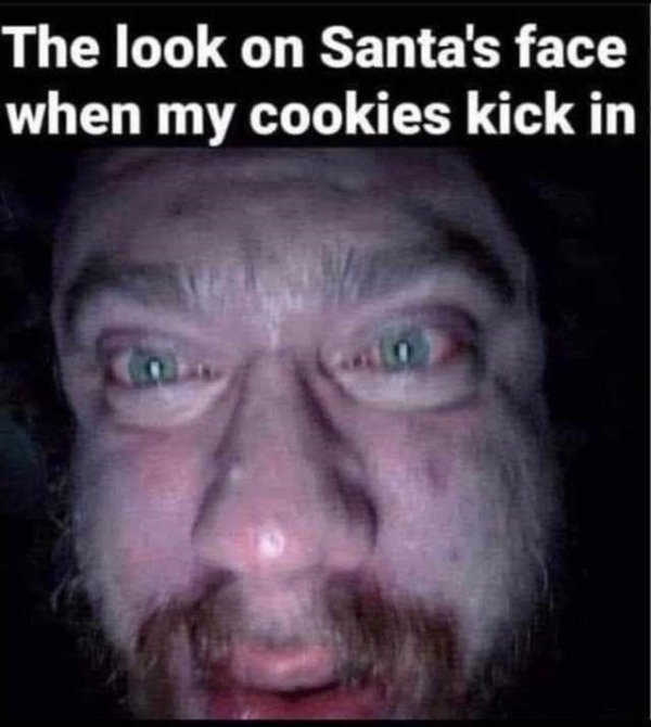 Christmas Memes (32 pics)