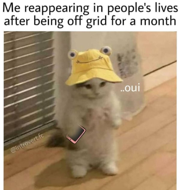 Memes For Introverts (35 pics)