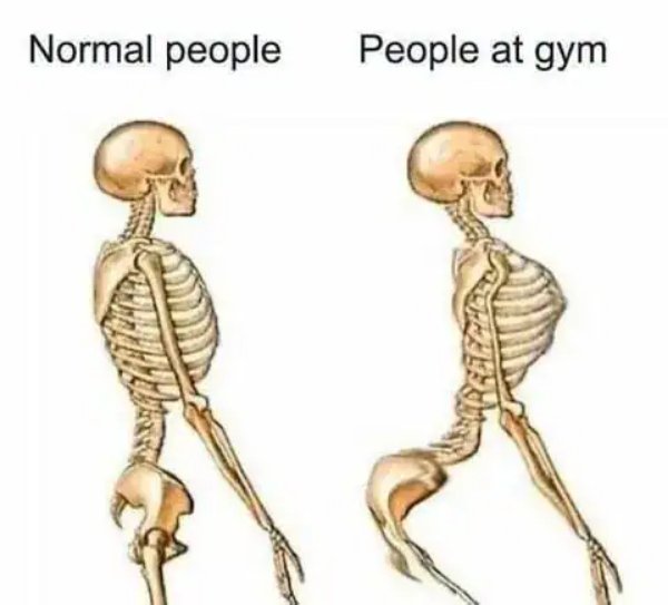 Gym Memes (28 pics)