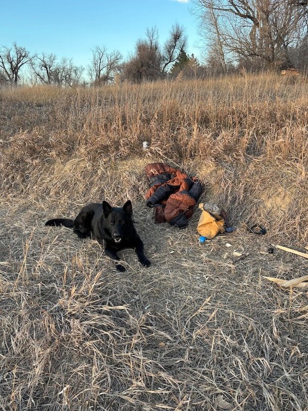Atmospheric Bushcraft Photos (18 pics)