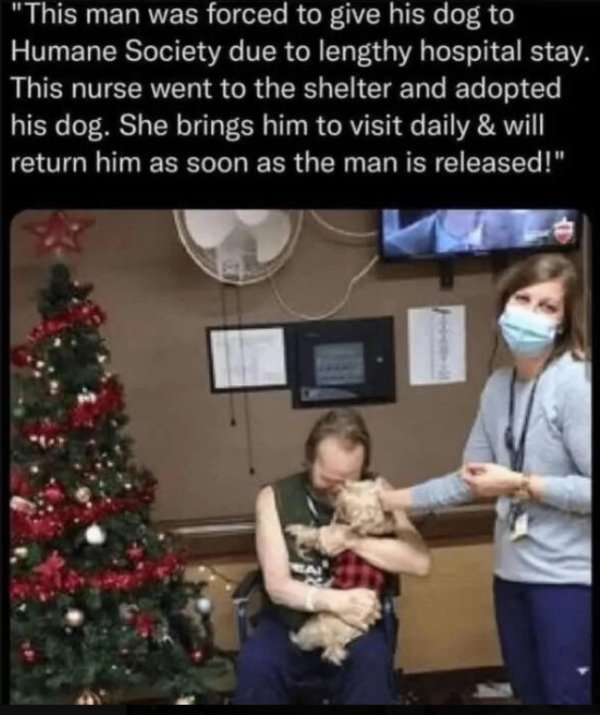 Kind Memes (24 pics)