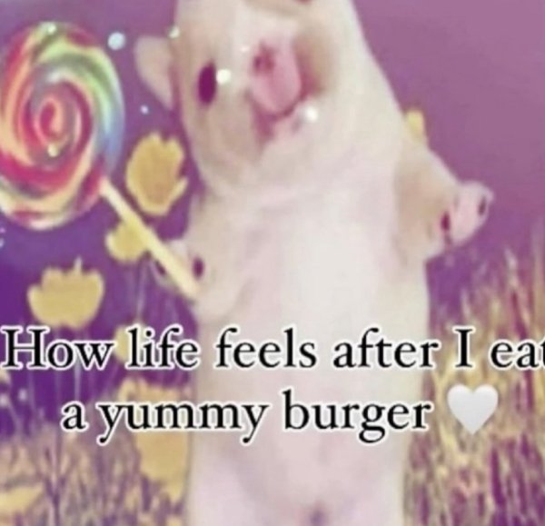 Kind Memes (24 pics)