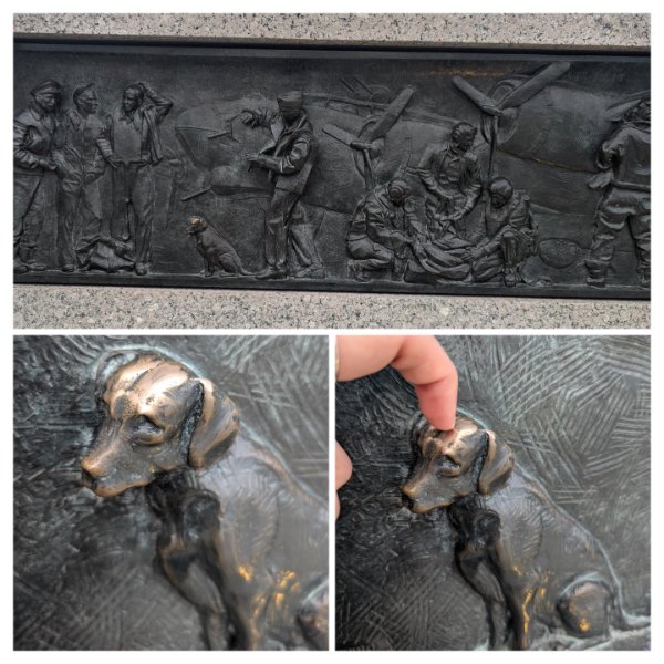 Interesting Finds (24 pics)