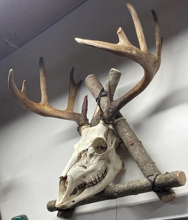 Atmospheric Bushcraft Photos (18 pics)