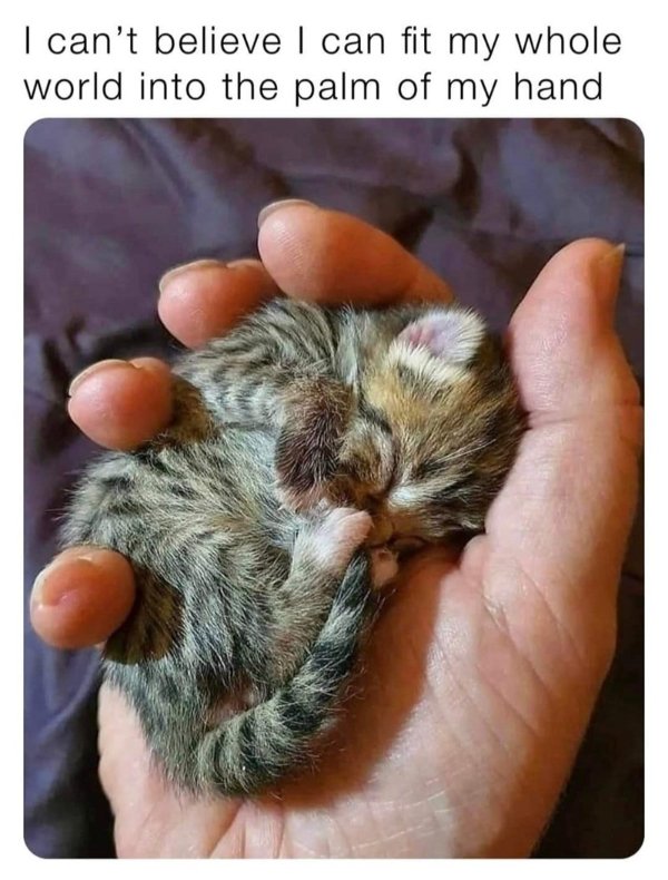 Kind Memes (24 pics)