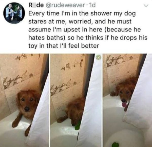 Kind Memes (24 pics)